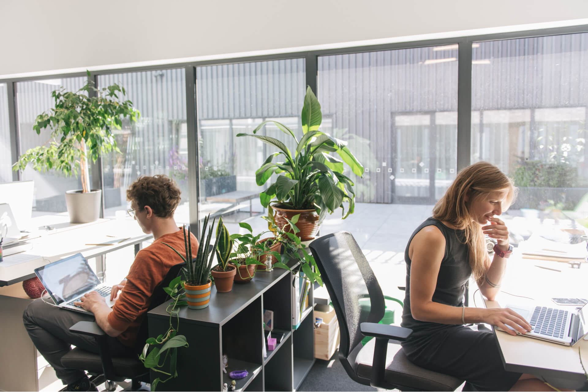 people-working-in-sunny-modern-office-2022-03-04-06-11-35-utc 1